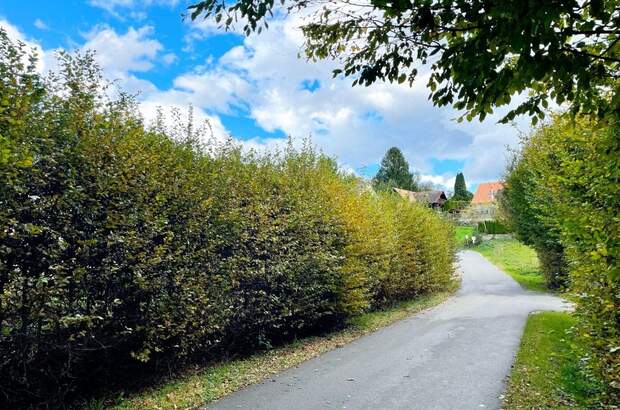 Grundstück kaufen in 8151 Berndorf (Bild 5)