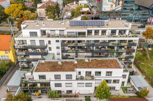 Terrassenwohnung kaufen in 1220 Wien (Bild 2)