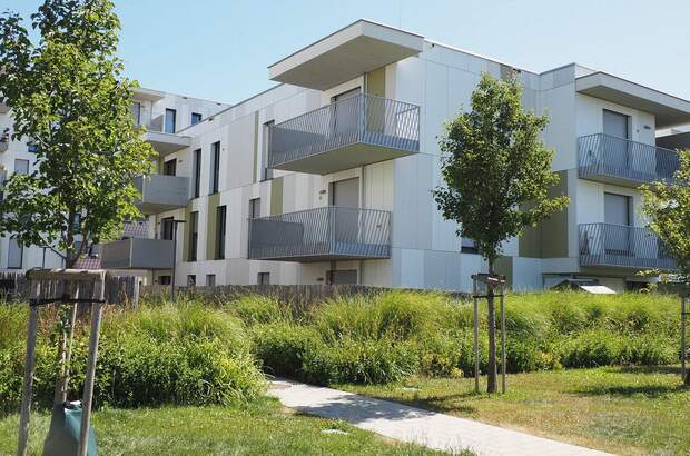 Terrassenwohnung mieten in 1210 Wien (Bild 1)