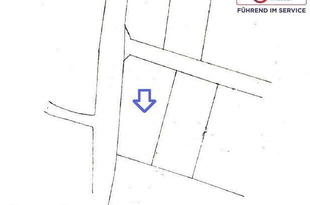 Grundstück kaufen in 2721 Bad Fischau (Bild 4)