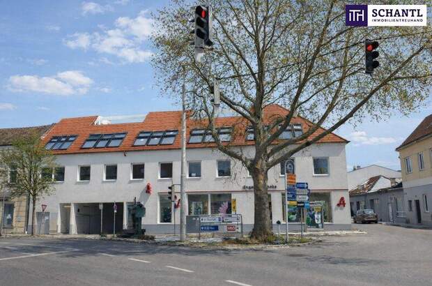 Terrassenwohnung kaufen in 2514 Traiskirchen