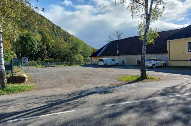 Bauernhaus kaufen in 3653 Weiten (Bild 3)