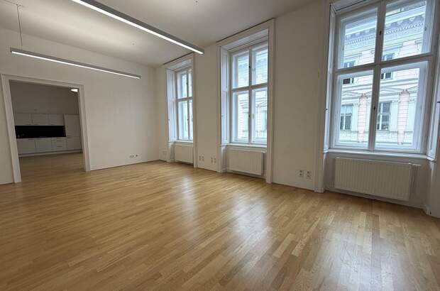 Gewerbeobjekt mieten in 1010 Wien (Bild 4)