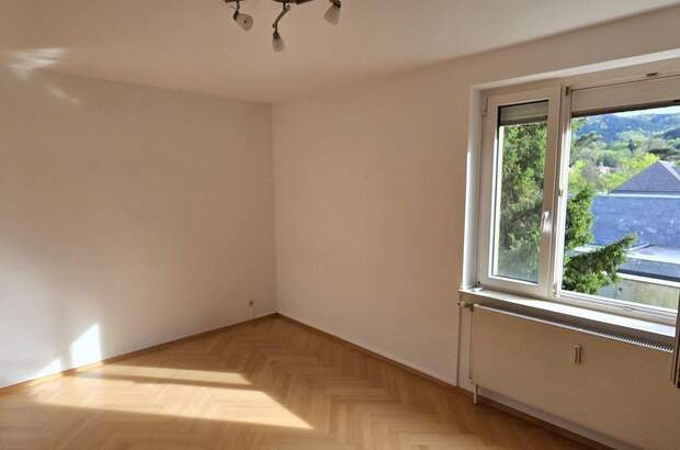 Terrassenwohnung kaufen in 2371 Hinterbrühl (Bild 4)