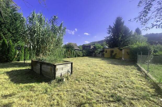 Haus mit Garten kaufen in 3421 Höflein (Bild 3)