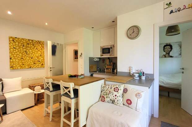 Terrassenwohnung mieten in 2340 Mödling (Bild 5)
