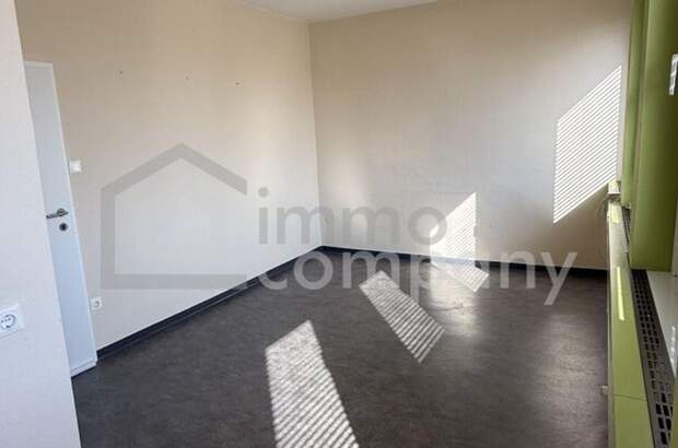 Gewerbeobjekt mieten in 2751 Steinabrückl (Bild 4)