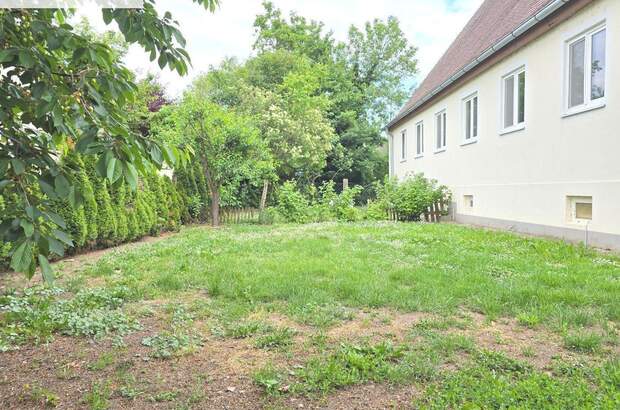 Altbauwohnung mieten in 2432 Schwadorf (Bild 5)