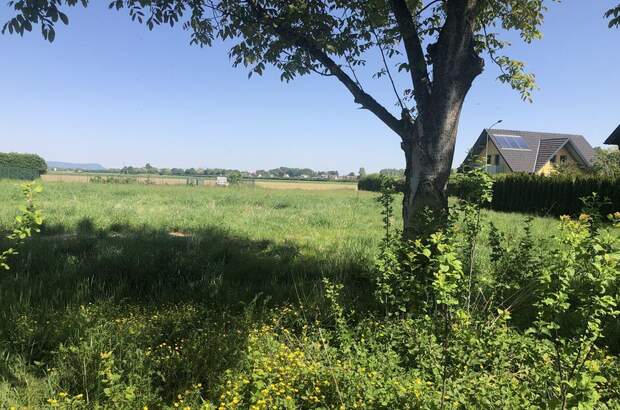 Grundstück kaufen in 8472 Obervogau (Bild 1)