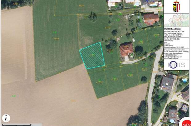 Gewerbeobjekt kaufen in 4223 Bodendorf (Bild 4)