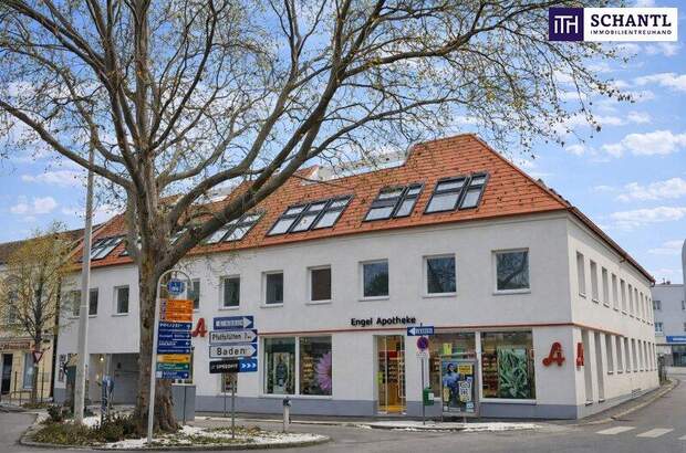Terrassenwohnung kaufen in 2514 Traiskirchen (Bild 2)