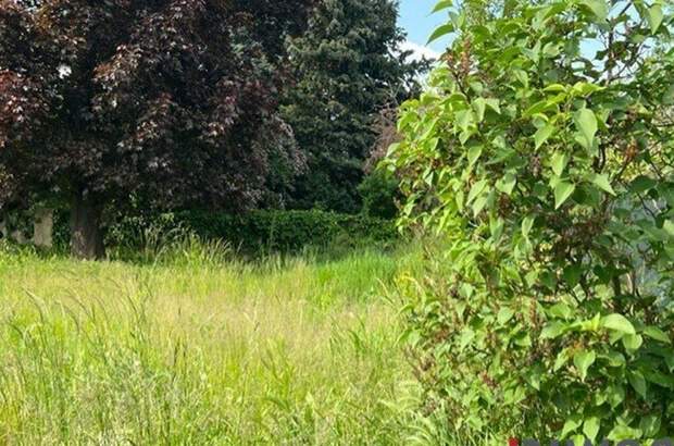 Grundstück kaufen in 2201 Kapellerfeld (Bild 5)