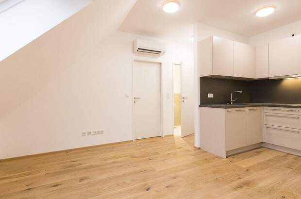 Wohnung mieten in 1130 Wien (Bild 1)