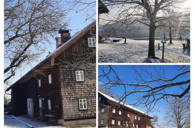 Haus kaufen in 4682 Geboltskirchen (Bild 5)