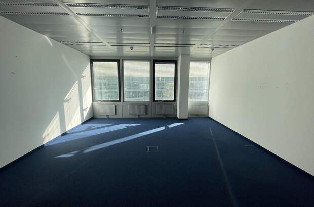 Gewerbeobjekt mieten in 1220 Wien (Bild 5)