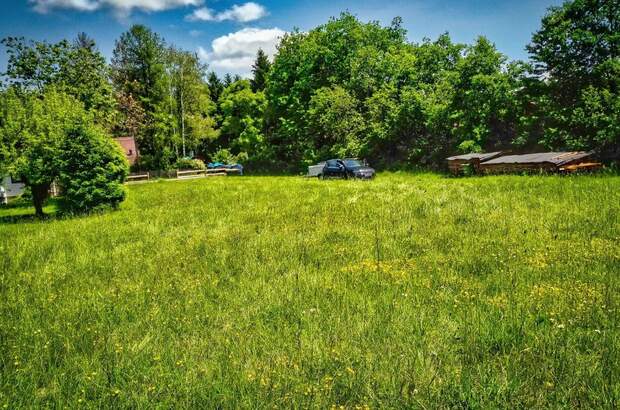 Grundstück kaufen in 9184 St. Jakob (Bild 5)