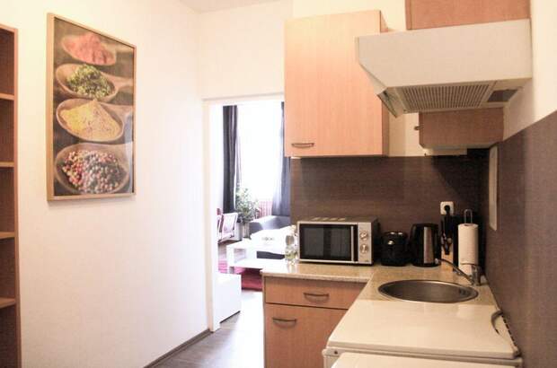 Mietwohnung in 1100 Wien (Bild 3)