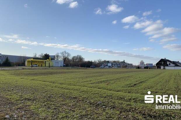 Grundstück kaufen in 4614 Marchtrenk (Bild 1)