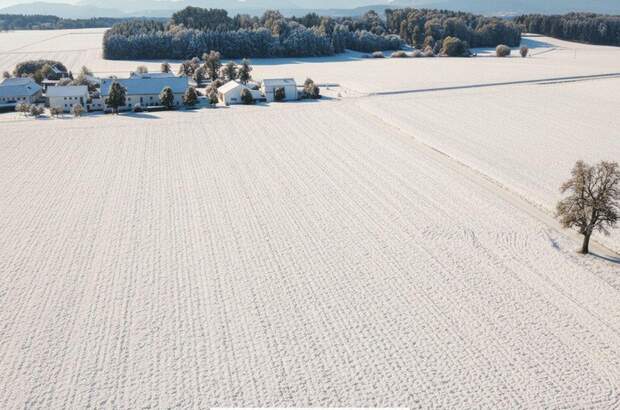 Gewerbeobjekt kaufen in 4654 Bad Wimsbach (Bild 2)