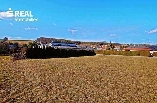 Grundstück kaufen in 7431 Bad Tatzmannsdorf (Bild 4)