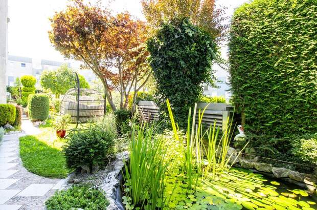 Wohnung kaufen in 4600 Wels (Bild 3)