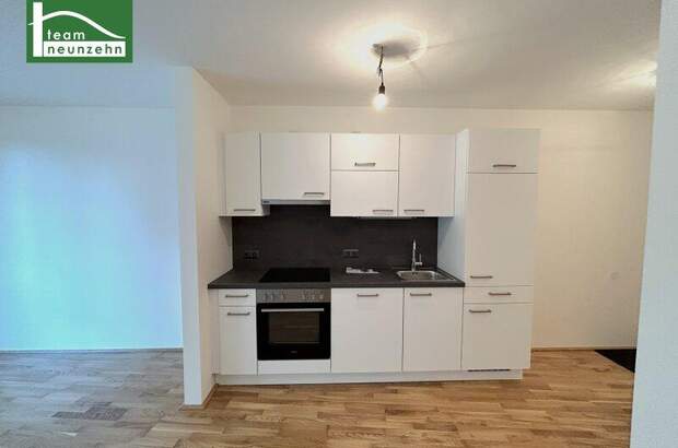 Terrassenwohnung mieten in 1220 Wien (Bild 3)