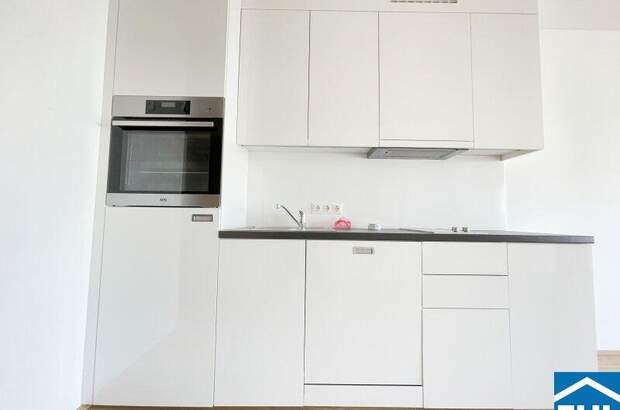 Terrassenwohnung mieten in 1030 Wien (Bild 3)