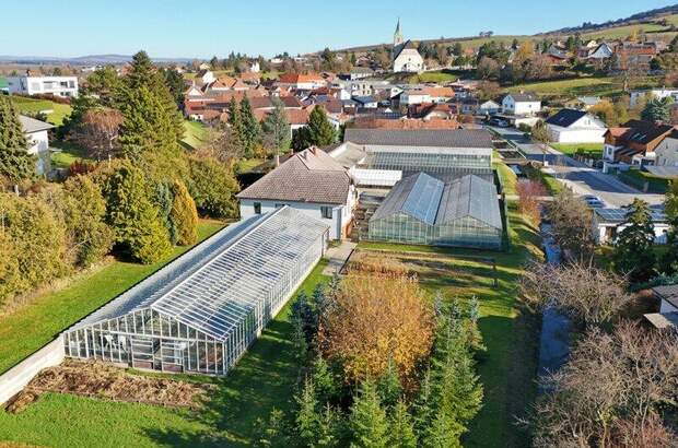 Grundstück kaufen in 3434 Katzelsdorf (Bild 2)