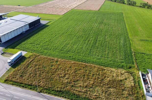Gewerbeobjekt mieten in 8724 Spielberg (Bild 4)