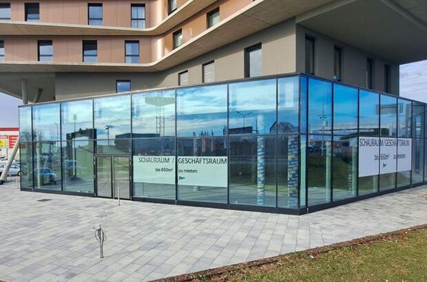 Gewerbeobjekt mieten in 2351 Wiener Neudorf (Bild 4)