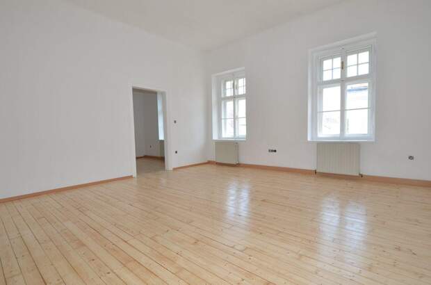 Altbauwohnung mieten in 2380 Perchtoldsdorf (Bild 1)