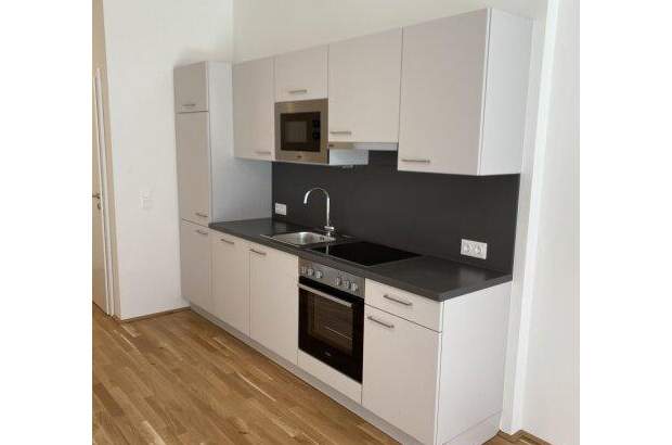 Terrassenwohnung mieten in 1220 Wien (Bild 1)