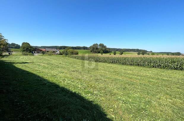 Grundstück kaufen in 5143 Feldkirchen (Bild 2)