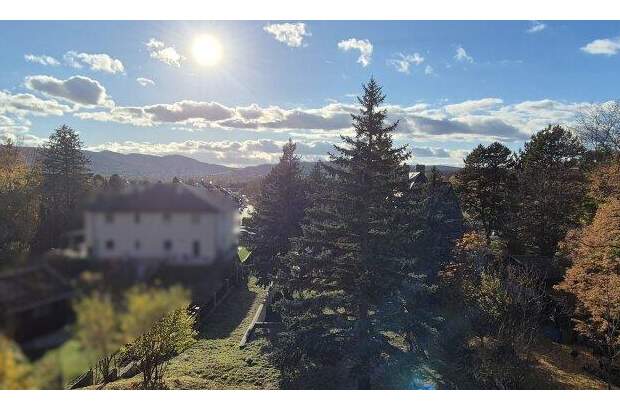 Grundstück kaufen in 2103 Langenzersdorf (Bild 1)