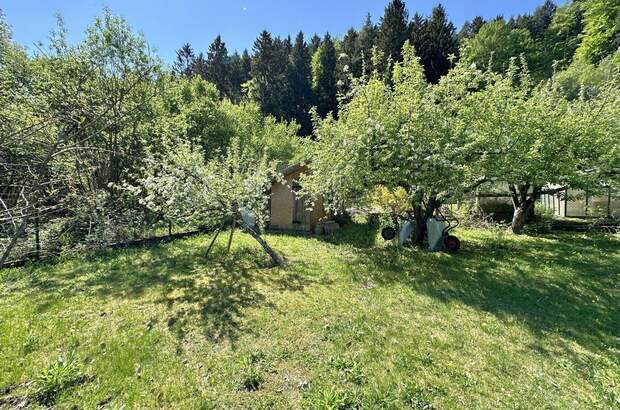 Haus kaufen in 9710 Neu (Bild 2)