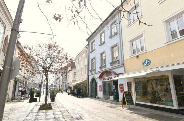 Einzelhandel mieten in 2700 Wr. Neustadt (Bild 2)