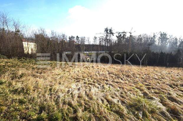 Grundstück kaufen in 4224 Wartberg (Bild 1)