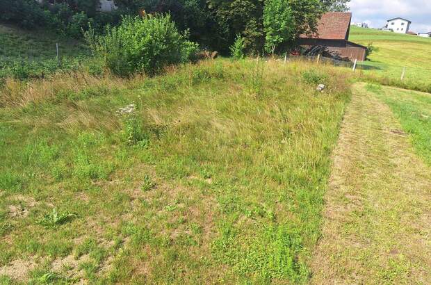 Grundstück kaufen in 4760 Raab (Bild 2)