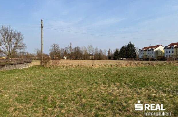 Grundstück kaufen in 4070 Pupping (Bild 5)