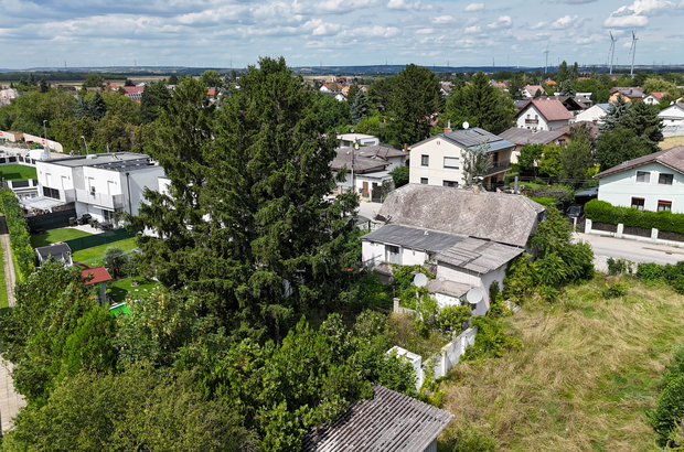 Einfamilienhaus kaufen in 2231 Strasshof (Bild 4)