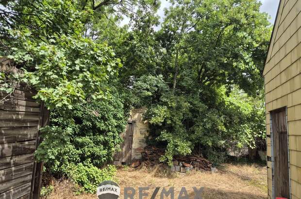 Grundstück kaufen in 2301 Groß (Bild 1)