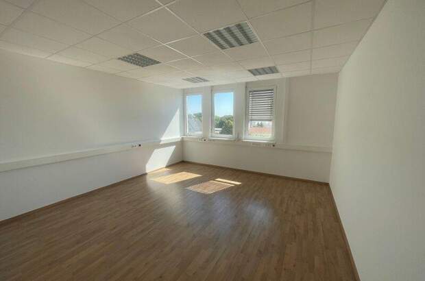 Büro / Praxis mieten in 2351 Wr. Neudorf (Bild 5)