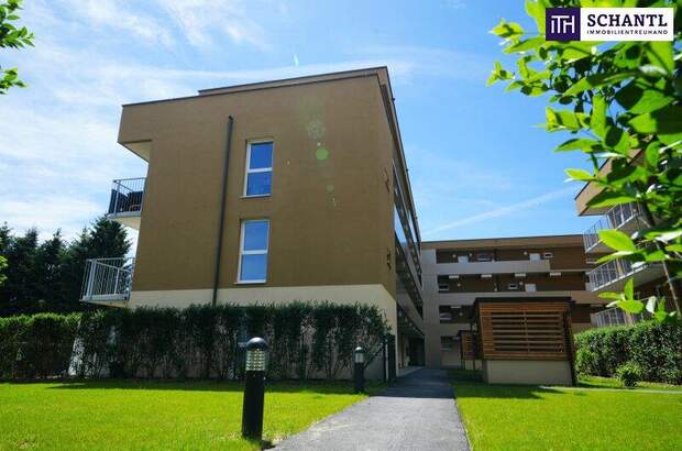 Terrassenwohnung kaufen in 8401 Kalsdorf (Bild 3)