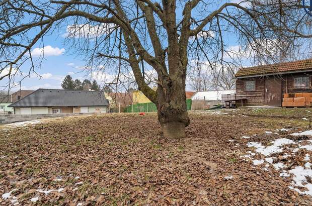 Grundstück kaufen in 2014 Breitenwaida (Bild 5)