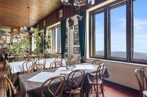 Gewerbeobjekt kaufen in 2734 Puchberg (Bild 5)