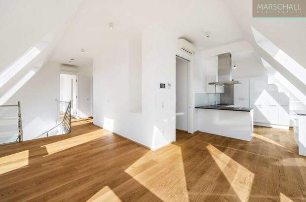 Terrassenwohnung kaufen in 1010 Wien (Bild 3)