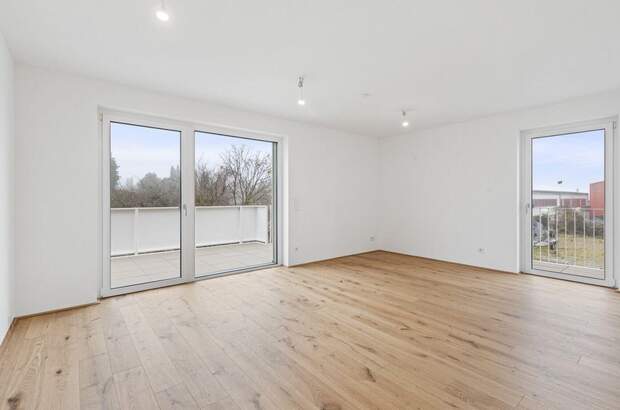 Anlageobjekt kaufen in 2540 Bad Vöslau (Bild 4)