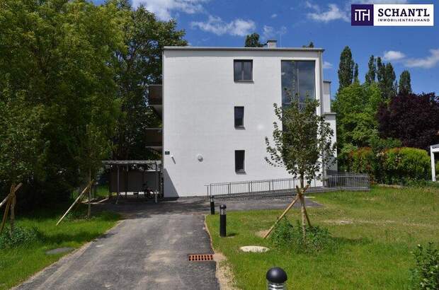 Terrassenwohnung kaufen in 8045 Graz (Bild 3)