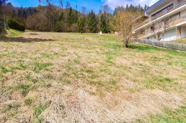 Grundstück kaufen in 8850 Murau (Bild 5)