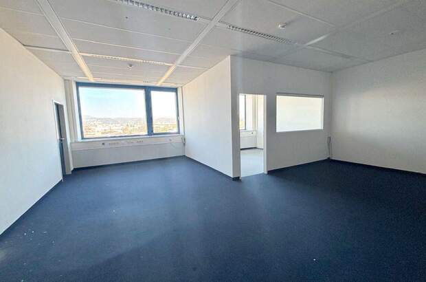 Gewerbeobjekt mieten in 2351 Wiener Neudorf (Bild 1)
